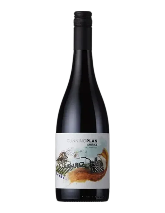 Shiraz
